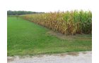 Property photo 7 - Real Estate Auction - 31+/- Acres Offered in 3 Tracts Including a 3-Bedroom Home